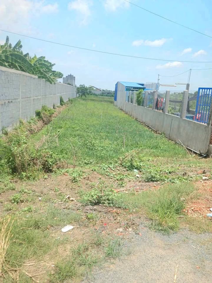 Đất mặt tiền Kênh 14, Gò Công, Tiền Giang 400m² giá 1.45 tỷ - Thương lượng ngay!