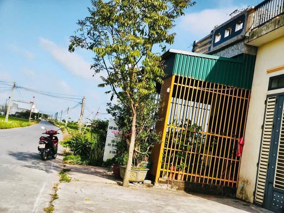 Đất nền 100m² tại Nam Hà, Tiền Hải giá chỉ 1.3 tỷ - Đầu tư sinh lời ngay!