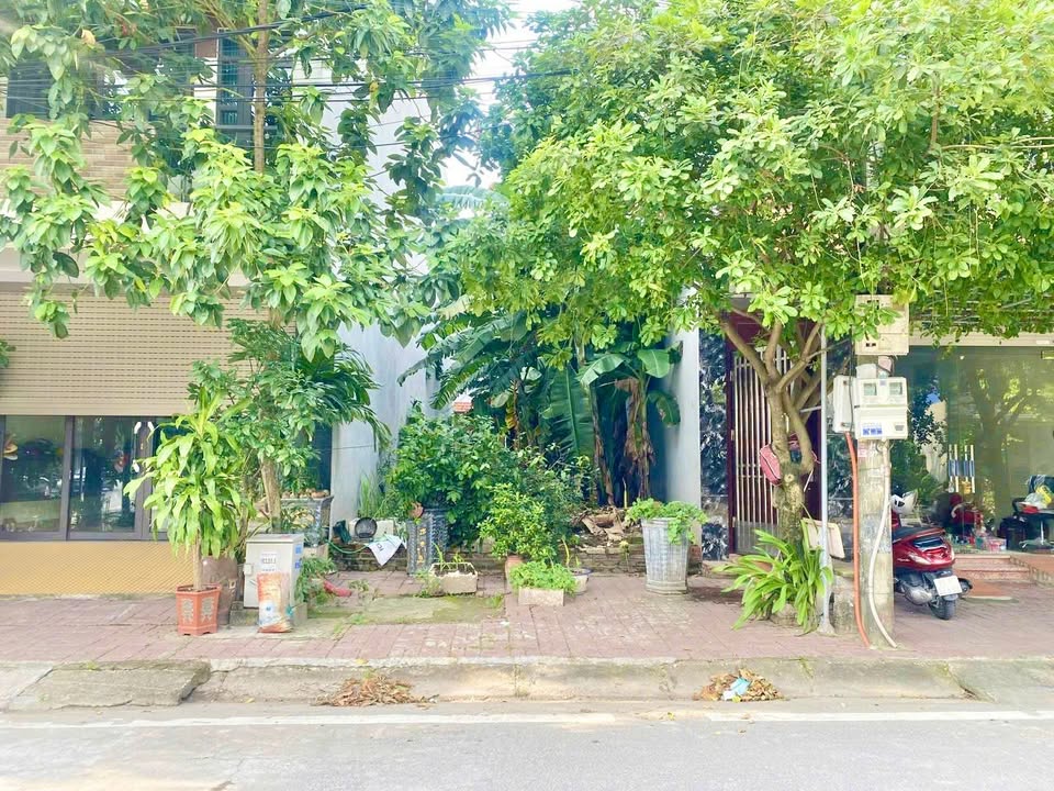 Đất mặt phố Lương Đình Của, An Tảo, Hưng Yên 97m² - Kinh doanh tốt, giá chỉ 7 tỷ!