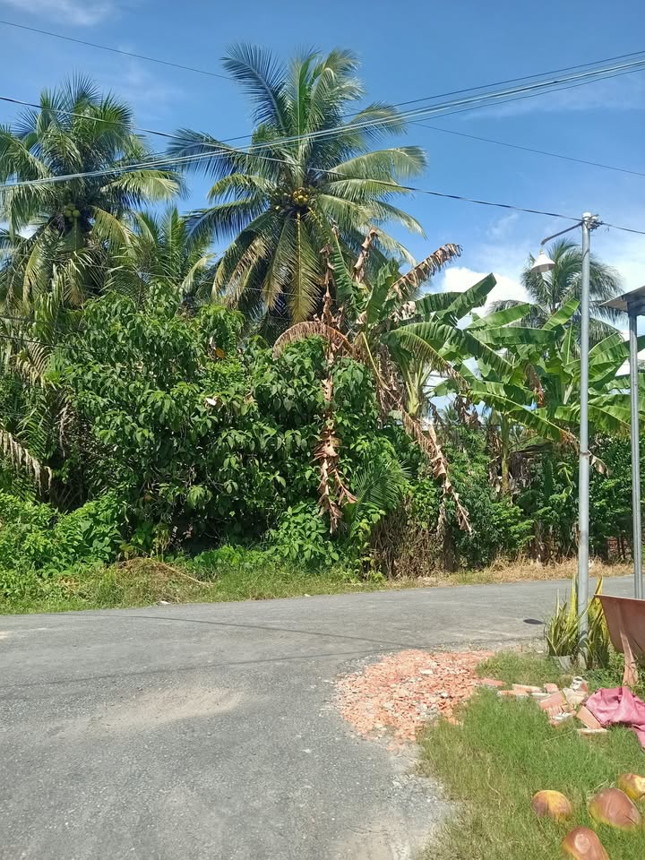 Đất mặt tiền ấp Ô Chích A, Vĩnh Long 1000m² giá 750 triệu - Vị trí đắc địa cho đầu tư!