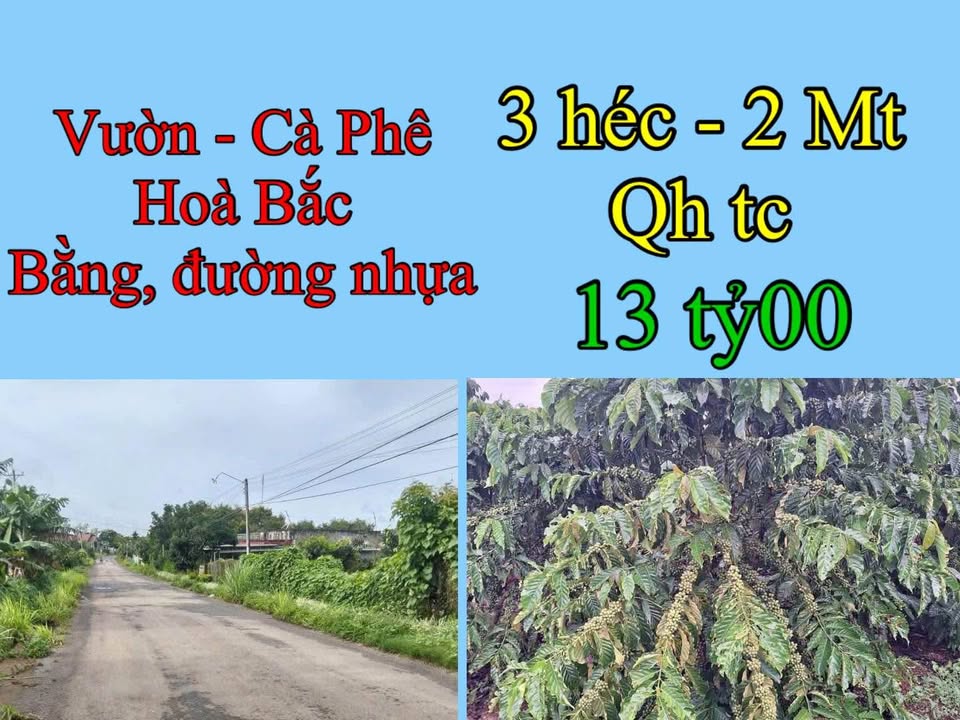 Đất Farm Hòa Bắc 30,000m² giá 13 tỷ - Hai mặt tiền đường lớn, đầu tư sinh lời!