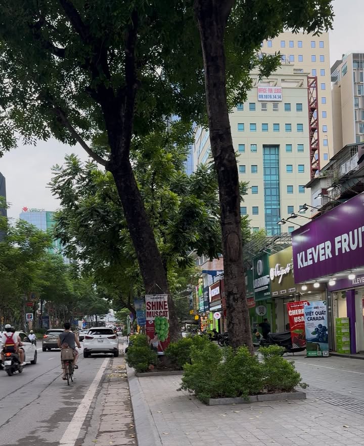 Nhà mặt phố Láng Hạ 79m² giá 24.9 tỷ - Kinh doanh đắc địa với hai mặt tiền!