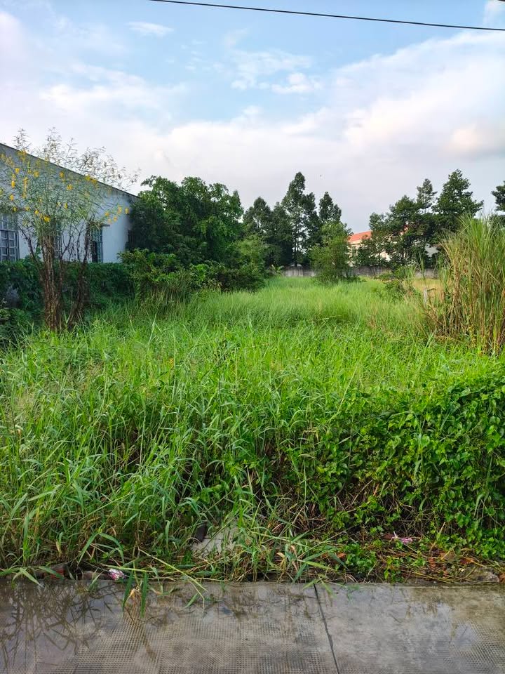 Đất Mặt Tiền 1.200m² Tại Xã Thạnh Đức, Bến Lức - Giá 2.2 Tỷ Thương Lượng!