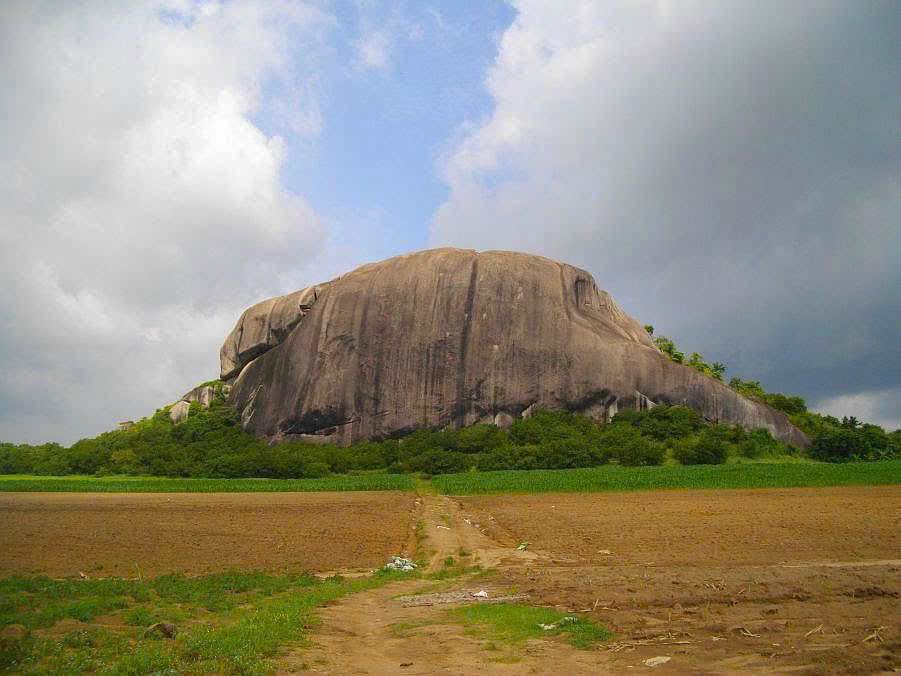 Đất nền 1000m² tại xã Gia Canh - Giá chỉ 320 triệu - Sổ hồng riêng