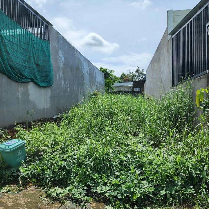 Đất thổ cư 100% khu phố 6 Trảng Dài, Biên Hòa 100m² giá 1.6 tỷ - Sổ hồng chính chủ!