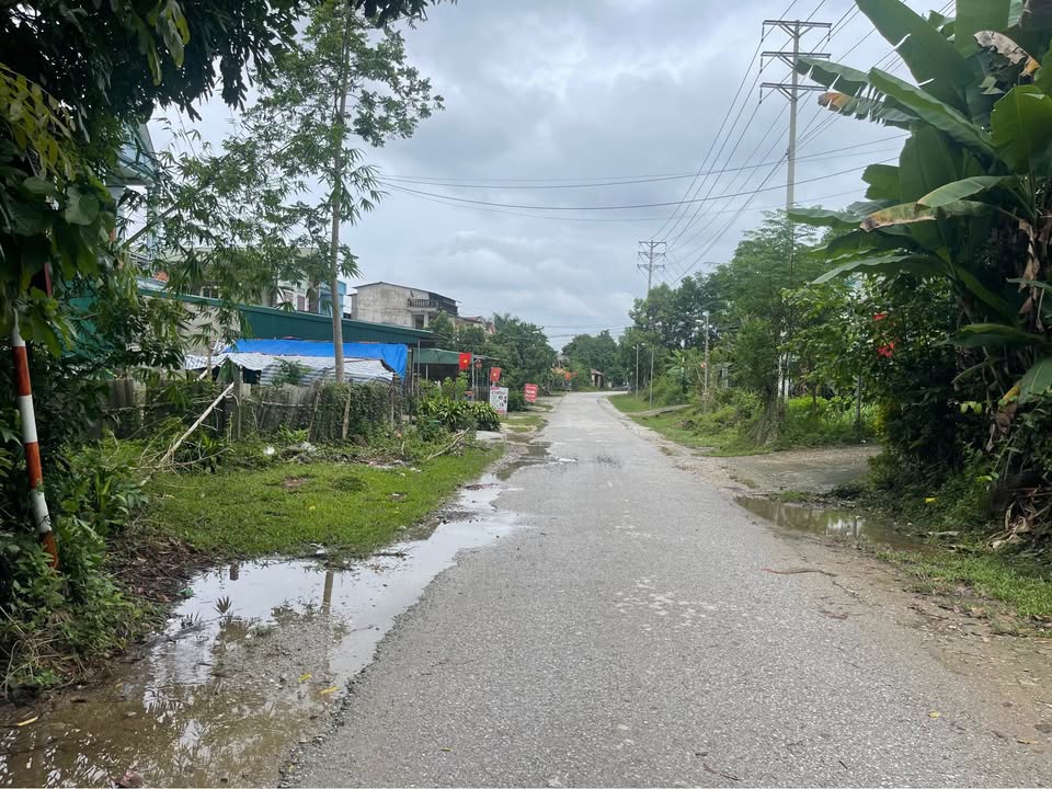 Đất mặt đường Thanh Niên Kim Phú 100m² giá 1.55 tỷ - Đầu tư sinh lời ngay!