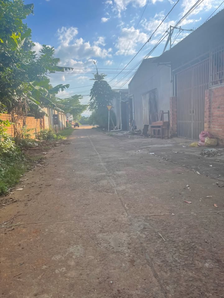 Đất nền Hòa Xuân Cẩm Lệ 100m² giá chỉ 300 triệu - Cơ hội đầu tư tuyệt vời!