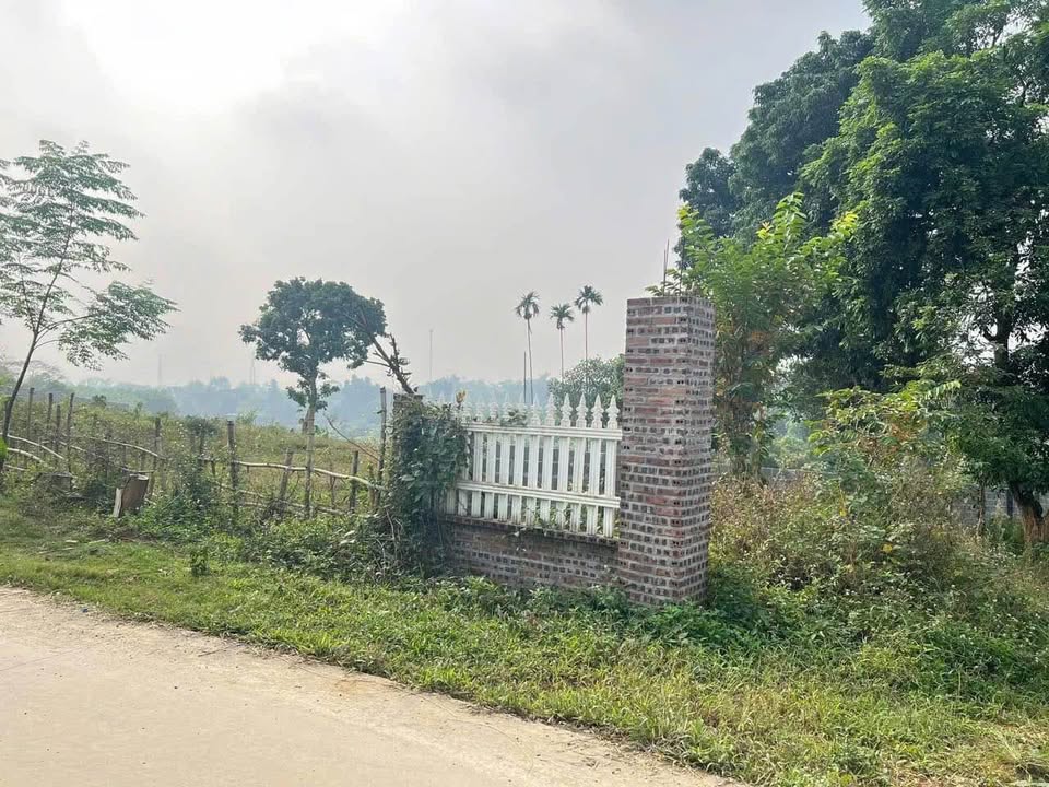 Đất nền Hòa Sơn Lương Sơn 1212m² giá tốt - Đầu tư sinh lời ngay!