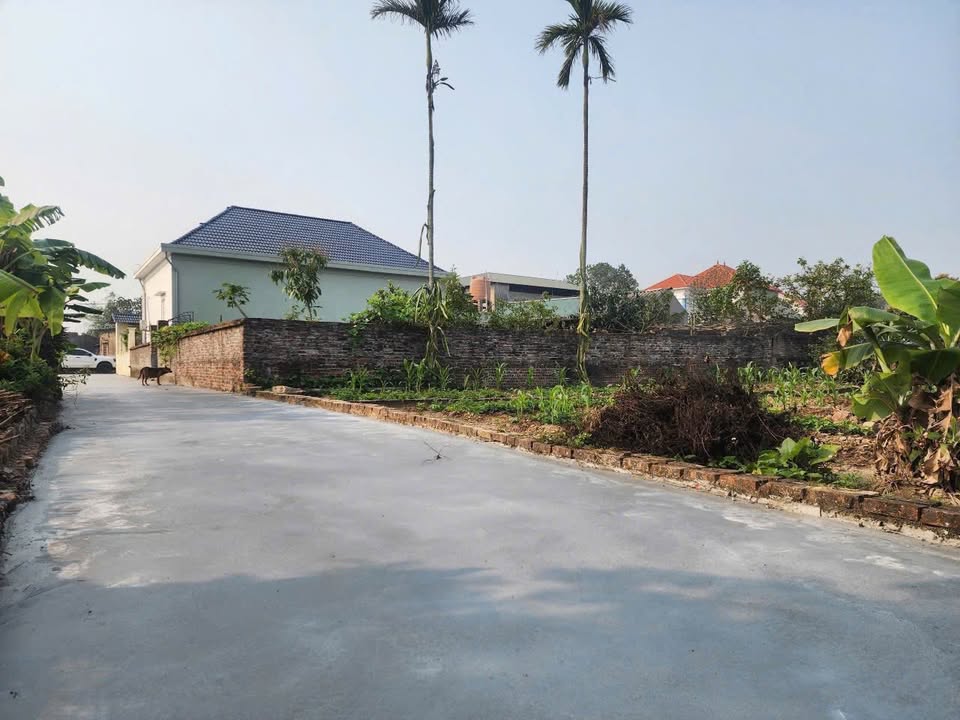 Đất nền Dương Quang, TX Mỹ Hào 90m² giá 1.5 tỷ - Cơ hội đầu tư hấp dẫn!