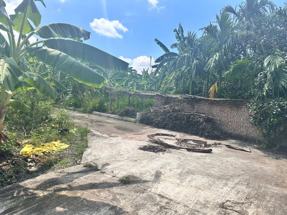 Đất nền Lương Bằng Kim Động 64.1m² giá 950 triệu - Đường ô tô vào tận nơi!