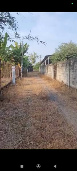 Đất nền 300m² đường Bùi Thị Lành, Củ Chi chỉ 2.2 tỷ - Pháp lý rõ ràng!