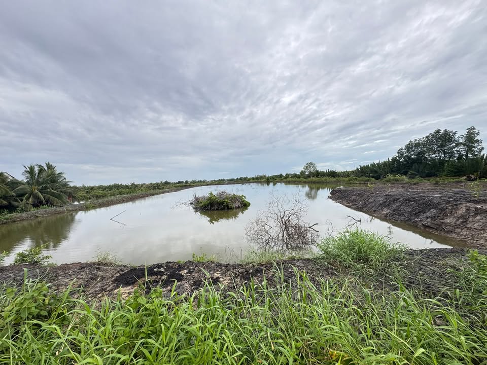 Đất nông nghiệp Tạ An Khương 10.000m² giá thỏa thuận - Mặt tiền đường lớn, vị trí thuận lợi!