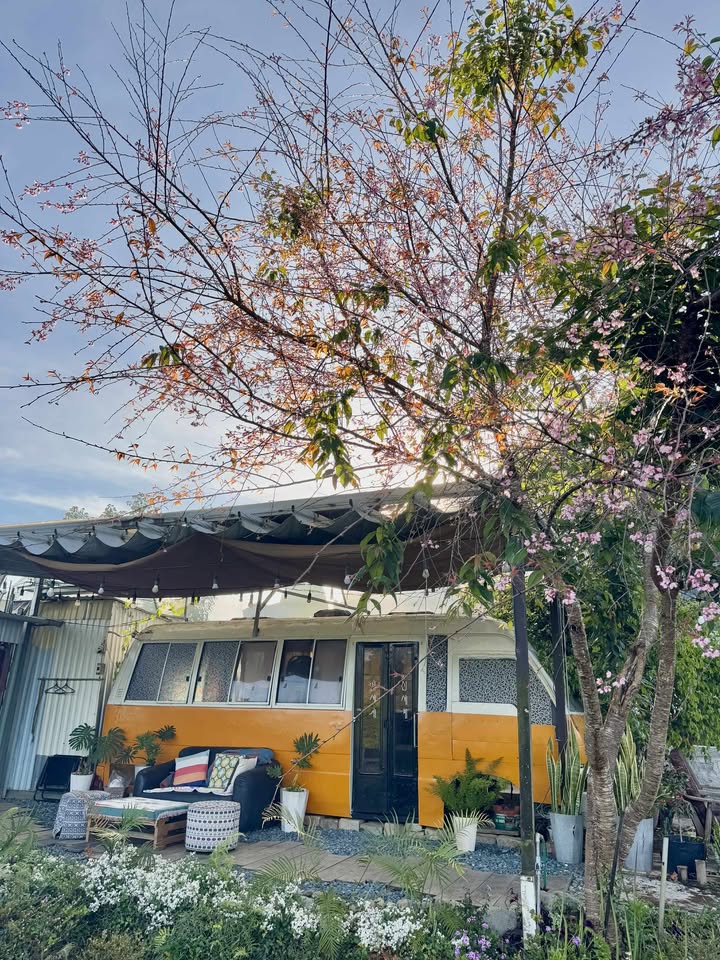 Homebus cho thuê tại Phường 6, Đà Lạt 400m² - Mô hình độc đáo chờ đón bạn!