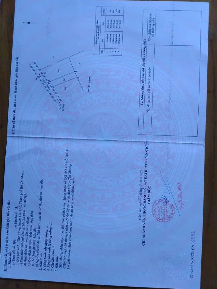 Đất Farm đường Rạch Lá An Thới Đông 2000m² giá 7.2 tỷ - Tiềm năng đầu tư tuyệt vời!