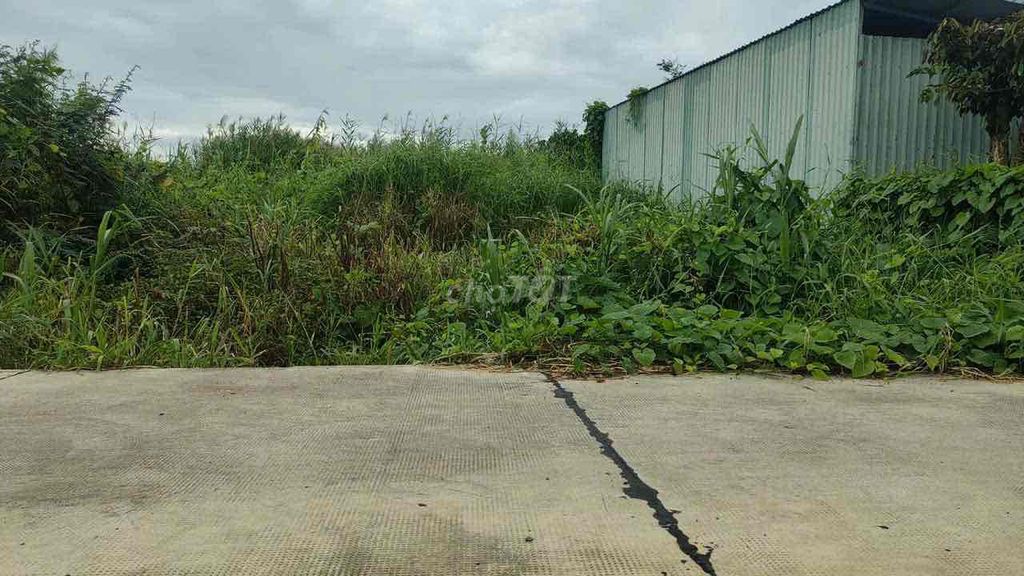 Đất thổ cư KDC Bình Tâm - Tân An - Long An 155.8m² giá 1.2 tỷ - Đầu tư sinh lời nhanh chóng!