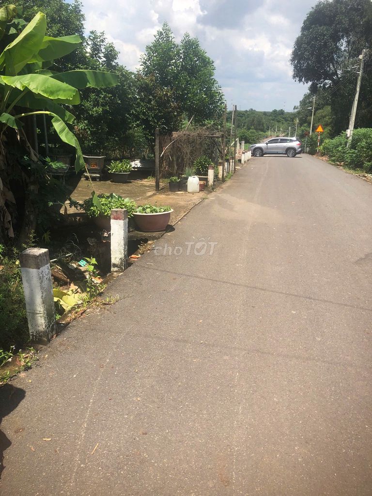 Đất thổ cư 100m² mặt tiền đường nhựa 12m, giá 1,18 tỷ - Đầu tư sinh lời ngay!