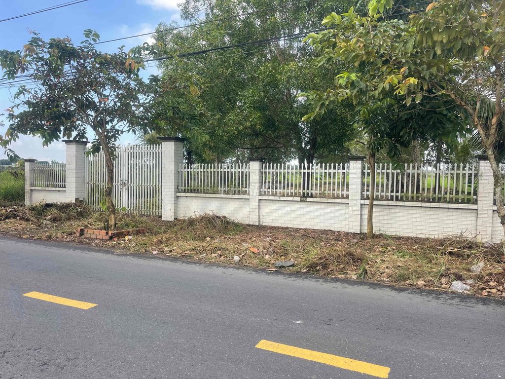 Cho thuê đất mặt tiền đường Bàu Tre 2800m² - Thích hợp mở quán cafe