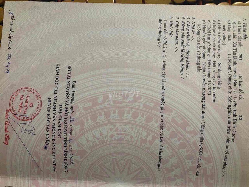 Đất sổ hồng 1196m² tại Tân Định, Bắc Tân Uyên - Giá 3 tỷ, mặt tiền đường 15m!