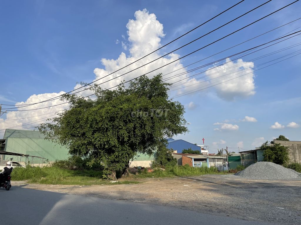Đất mặt tiền đường 768, Phường Trảng Dài 1500m² giá 15 triệu - Thích hợp làm kho bãi, nhà xưởng