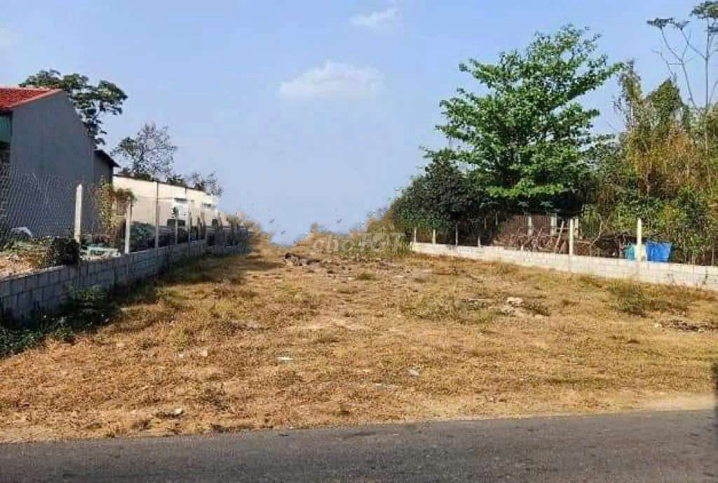 Đất thổ cư 250m² đường 32m tại Biên Hòa chỉ 520 triệu - Cơ hội đầu tư tuyệt vời!