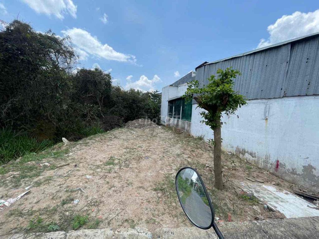 Đất nền khu dân cư Trần Anh, Mỹ Hạnh Nam 82m² giá 710 triệu - Cơ hội đầu tư hấp dẫn!