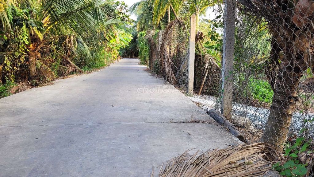 Bán đất chính chủ Ấp Mỹ Hưng, Phường Mỹ Phong, Tp Mỹ Tho 1224.2m² - Đầu tư sinh lời bền vững!