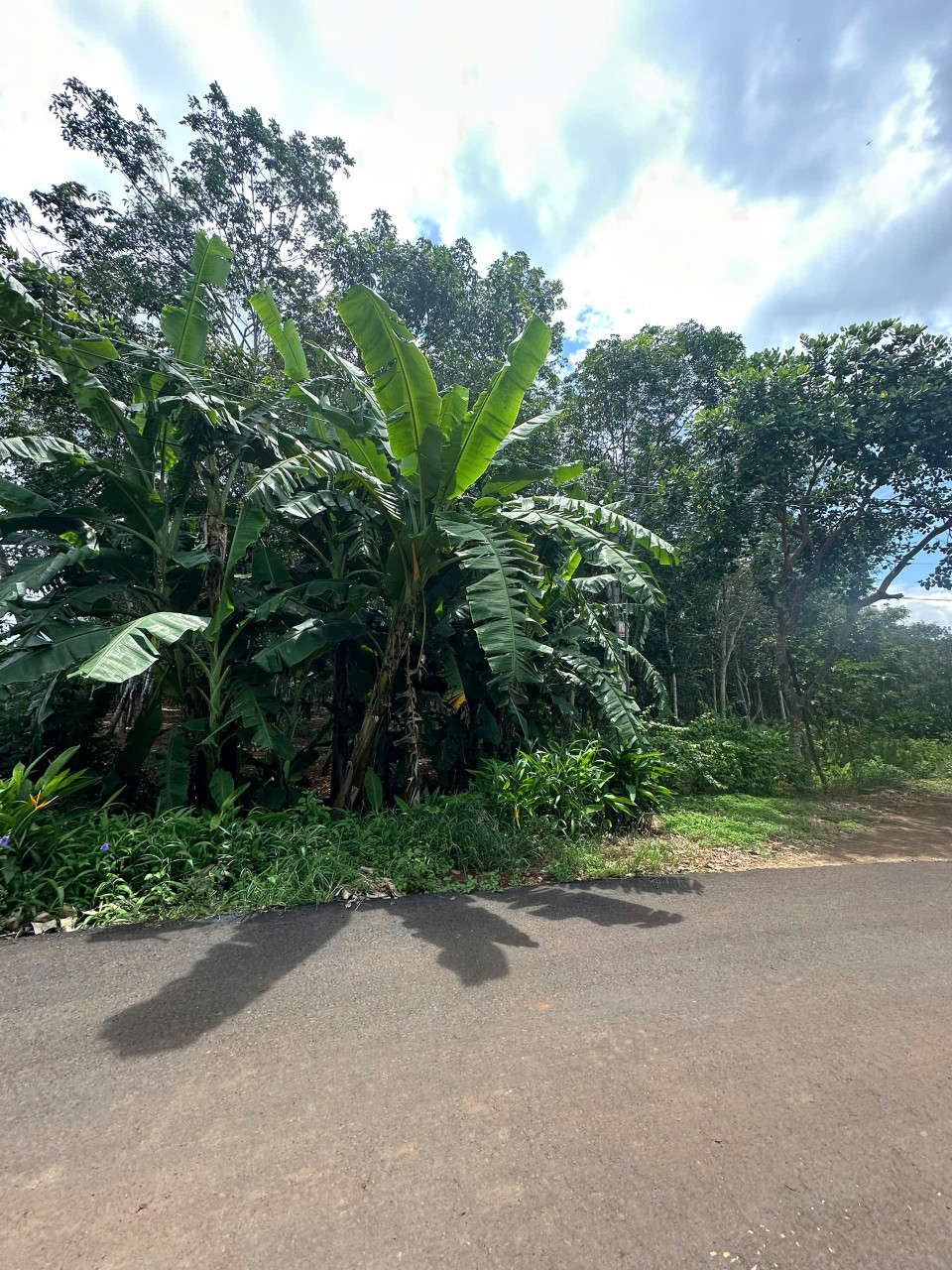 Đất nền Bàu Lâm, Xuyên Mộc 7791m² giá chỉ 25 tỷ - Pháp lý đầy đủ, sẵn sàng xây dựng!