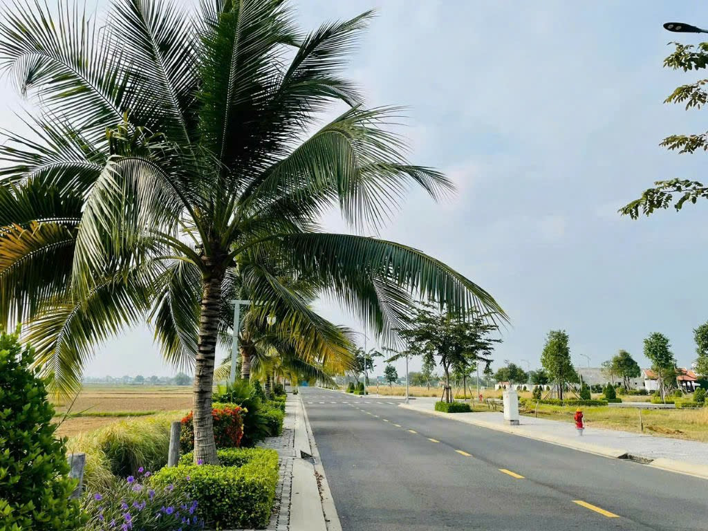 Đất nền mặt tiền đường An Phước - Long Thành 100m² chỉ 10 triệu/m² - Sổ hồng chính chủ sẵn sàng giao dịch!