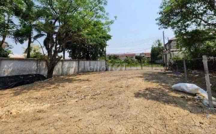 Đất thổ cư 250m² tại xã Phú Lâm, huyện Tân Phú - Giá chỉ 570 triệu, đầu tư sinh lời ngay!