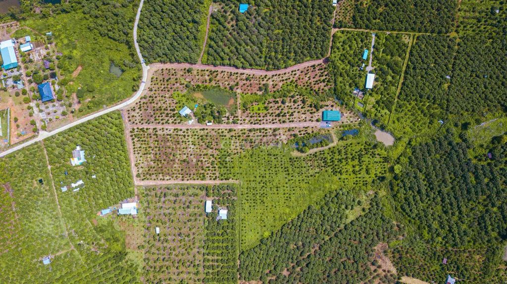 Bán lô đất vườn 1000m² tại xã La Ngà, giá 850 triệu - Mặt tiền đường nhựa rộng rãi!