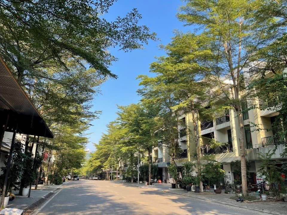 Nhà 3.5 tầng đường Ban Mai, Lào Cai 85m² giá 4.9 tỷ - Thiết kế hiện đại và tiện nghi!