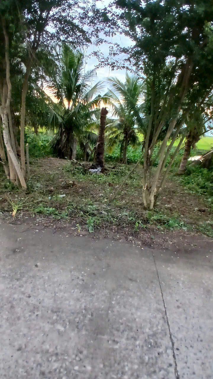 Đất nền 108m² xã Quốc Thái, An Phú chỉ 130 triệu - Cơ hội đầu tư tuyệt vời!