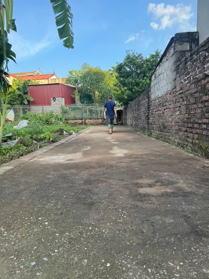 Đất nền Tự Nhiên, Thường Tín 42,3m² giá 1,6 tỷ - Cơ hội đầu tư tuyệt vời!