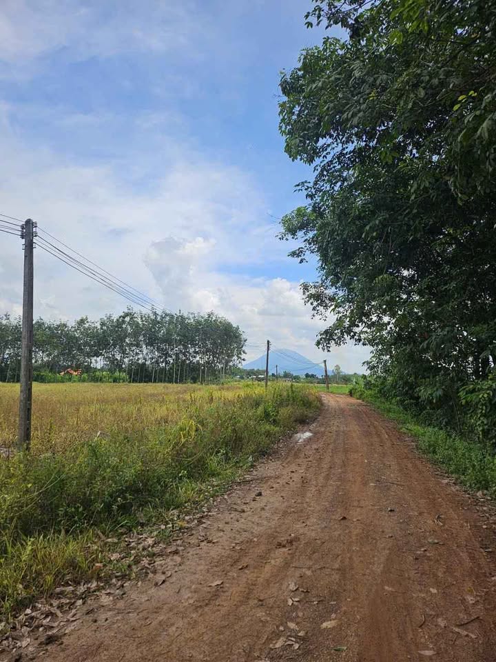 Đất nền Tân Phú, Tân Châu 1000m² giá 260 triệu - Cơ hội đầu tư tuyệt vời!