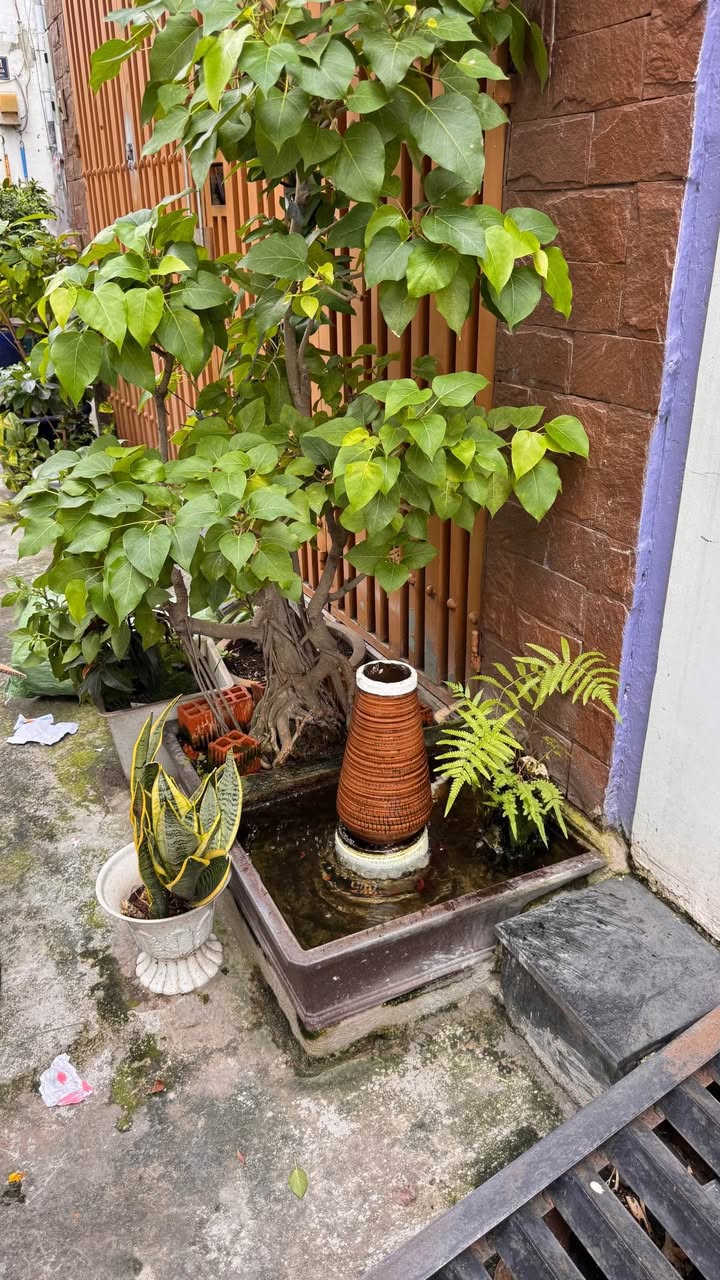 Đất xây biệt thự Phú Thọ Hòa 193m² giá 20.5 tỷ - Vị trí đắc địa, hẻm rộng 7m!