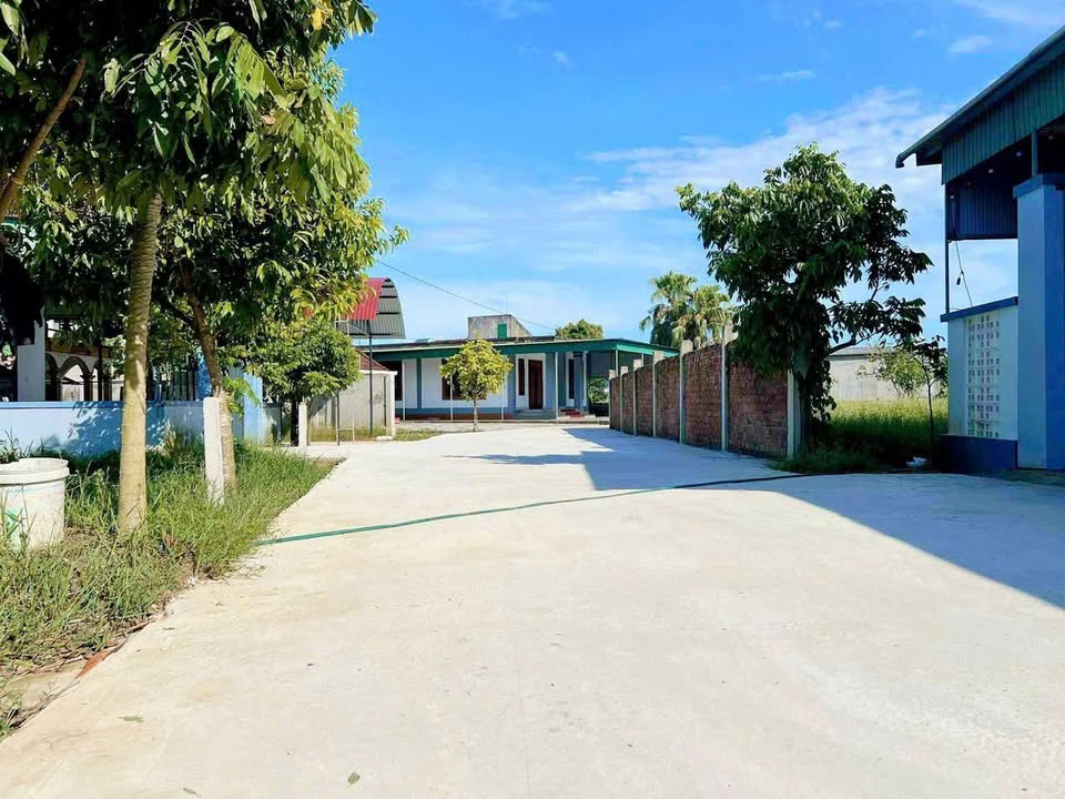 Đất nền phường Hà Huy Tập Vinh 118m² giá 1.3 tỷ - Vị trí thuận lợi gần chợ