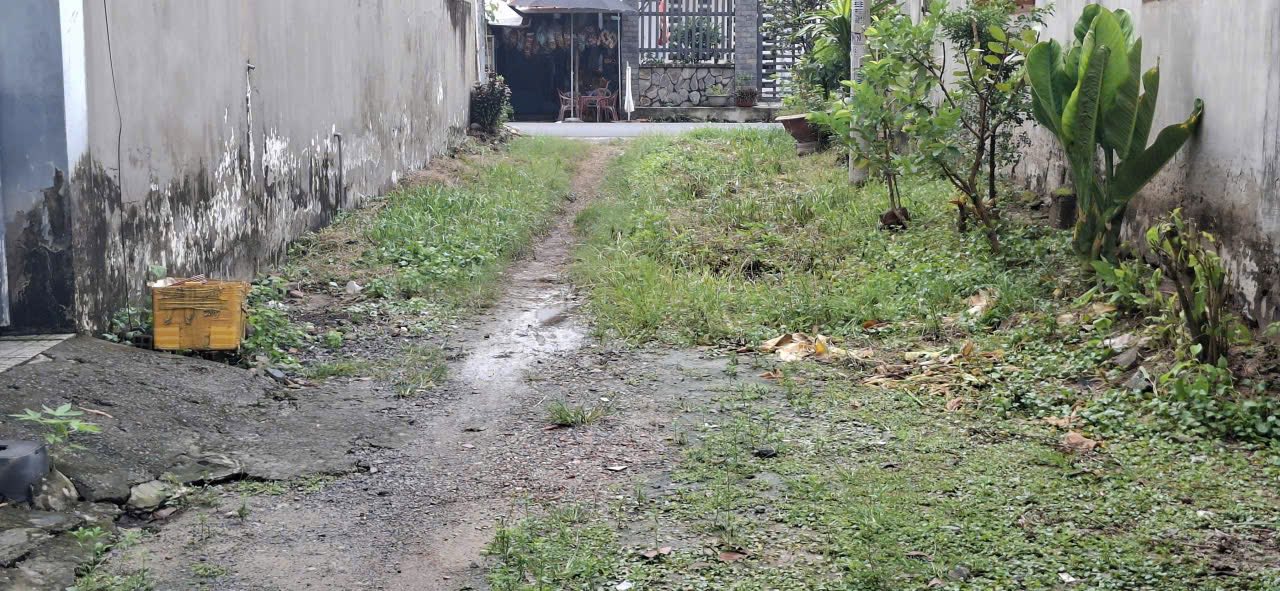 Đất thổ cư Tân Thông Hội, Củ Chi 132m² giá 1.1 tỷ - Cơ hội đầu tư tuyệt vời!