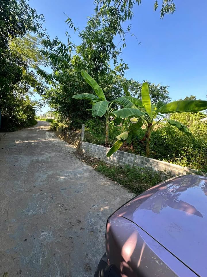 Đất nền Tuyên Quang 195m² giá 1.79 tỷ - Ô tô đỗ cửa, ngõ thông rộng!