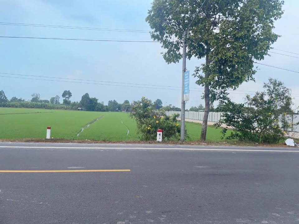 Đất mặt tiền lộ 61C, Châu Thành A, Hậu Giang 10.000m² chỉ 1.2 tỷ - Cơ hội đầu tư hấp dẫn!