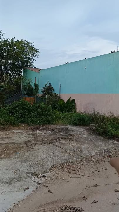 Đất nền Tân An, Phú Thọ 120m² giá 900 triệu - Đầu tư lâu dài, vị trí siêu đẹp!