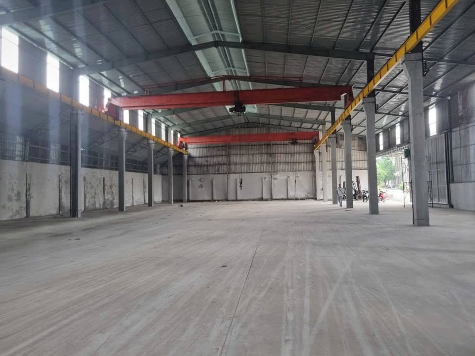 Xưởng cho thuê 2500m² tại KCN Thạnh Phú, Vĩnh Cửu - Giá chỉ 110 triệu/tháng!