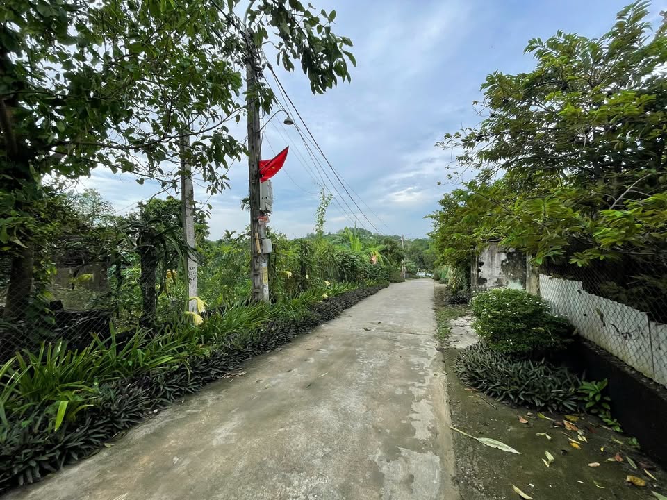 Đất nền Suối Hai, Ba Vì 610m² giá chỉ 2 tỷ - Sổ đỏ chính chủ, ô tô vào tận nơi!