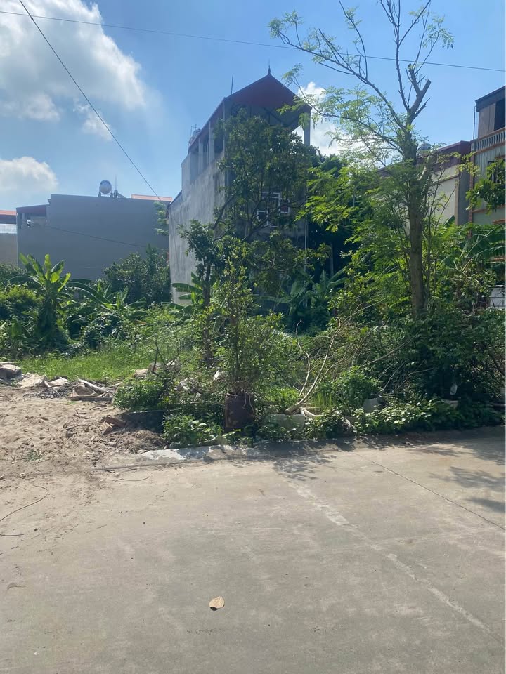 Đất giãn dân phố Mới, Quế Võ 80m² giá chỉ 3 tỷ - Cơ hội đầu tư tuyệt vời!