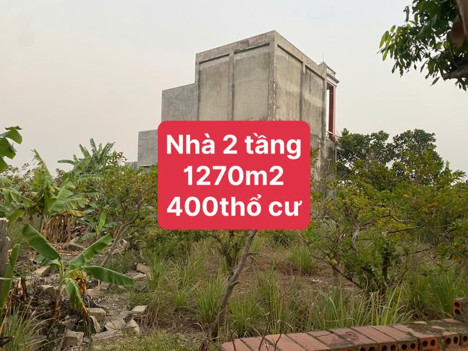 Mảnh vườn 1270m² tại An Sinh - Đông Triều giá 1.1 tỷ - Cơ hội đầu tư tuyệt vời!