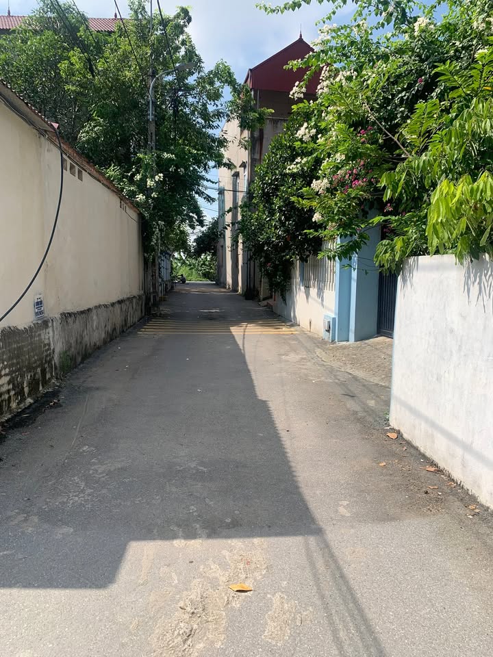 Đất thổ cư Lãng Ngâm Gia Bình 150m² giá 1.5 tỷ - Sổ hồng chính chủ, đầu tư tiềm năng!