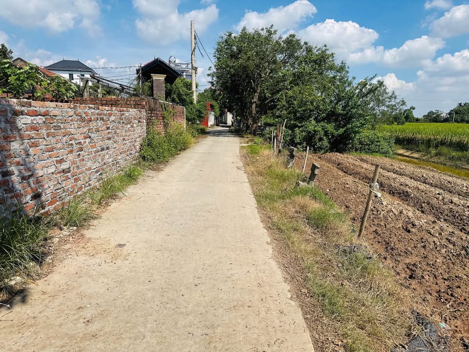 Lô đất mặt tiền 4,7m tại Thái Bảo, Gia Bình, Bắc Ninh giá 2.5 tỷ - Cơ hội đầu tư sinh lời!