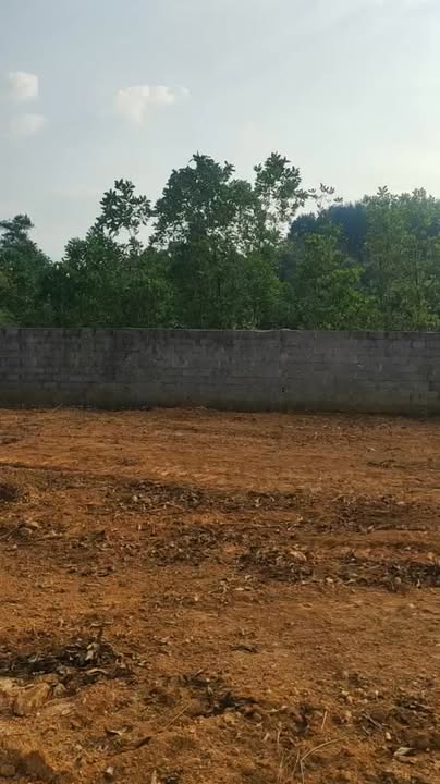 Bán lô đất Yên Bài - Ba Vì 5.059m² - Sổ đỏ chính chủ, view thoáng đẹp!