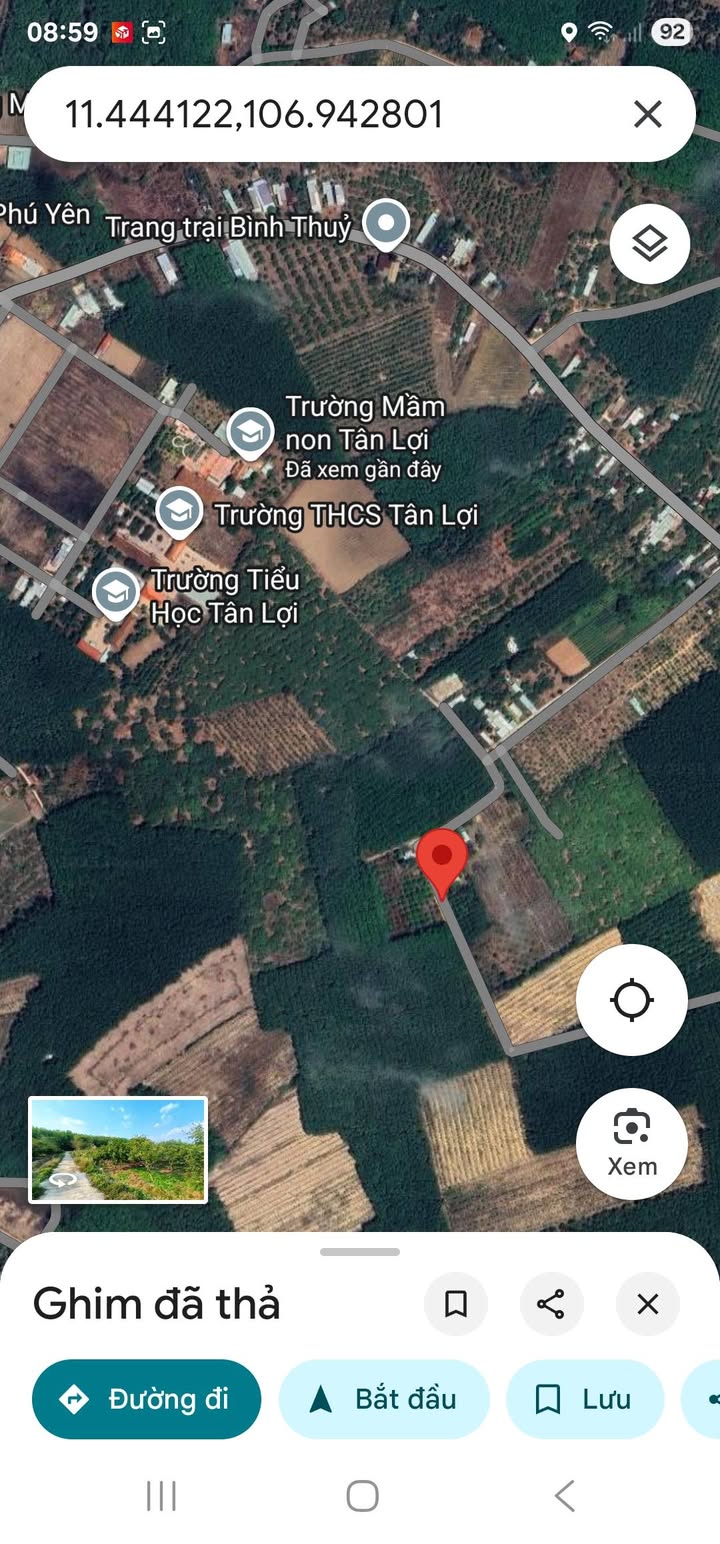 Đất nền Tân Lợi 192m², giá chỉ 3xx triệu - Đầu tư sinh lời ngay!