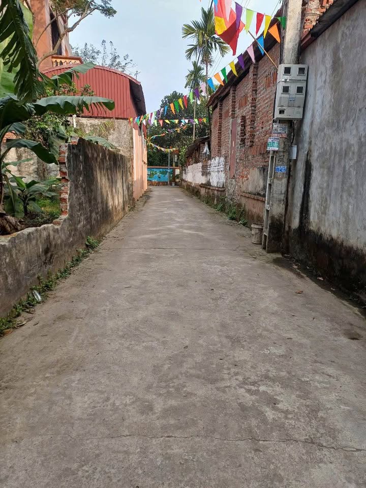 Đất chính chủ tại xã Trung Châu, huyện Đan Phượng, 59m² - Vị trí đẹp, giá tốt!