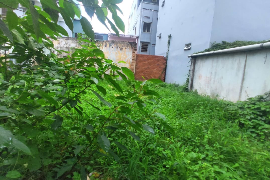 Cửa hàng cho thuê mặt tiền Nguyễn Đình Chiểu, Bến Tre 360m² - Vị trí đắc địa, thuận lợi kinh doanh!